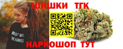 spice Гай