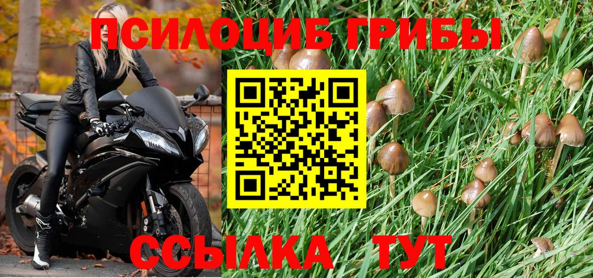 Галлюциногенные грибы GOLDEN TEACHER Киржач