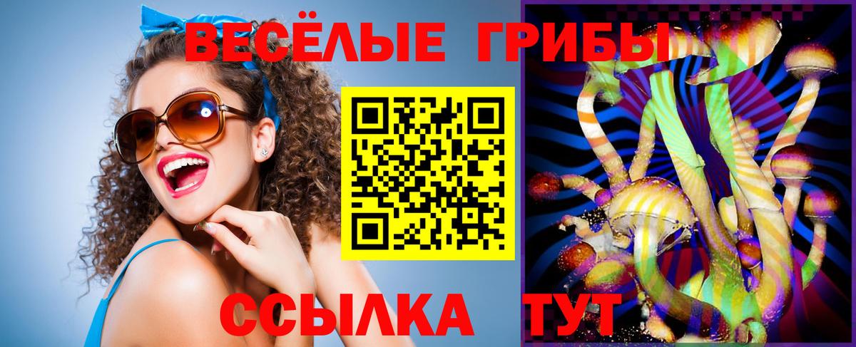 Киржач  Псилоцибиновые грибы Psilocybe  Вход с VPN 